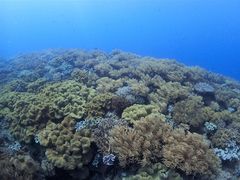 TgKofa@and PuPuւ̓eʐ^1