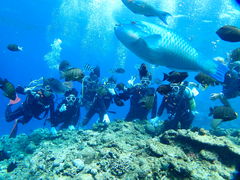 ���������HIRO�������ւ̓��e�ʐ^1