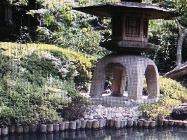 �뉀_���F��