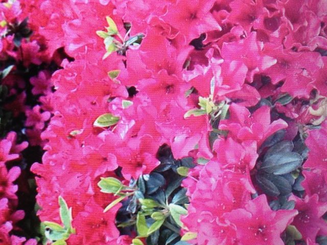 �c�c�W_���Ð_��