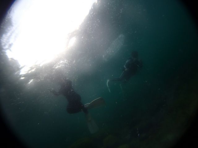 �����̎ʐ^���B���Ă���܂����I_�u���[�A�[�X21�F�{