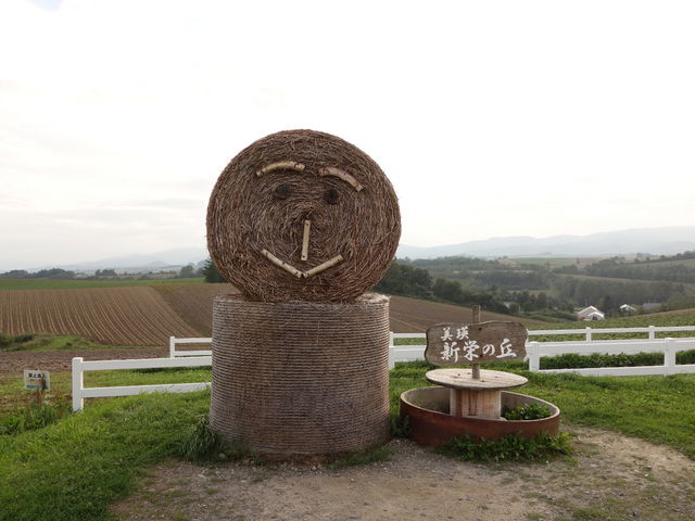 ���̃I�u�W�F���ڈ�ł��B_�V�h�̋u�W�]����