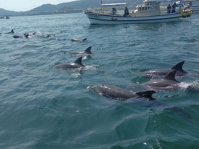 �C���J�������ς����܂����I_���܂��� �A�C�����h�L�����p�X