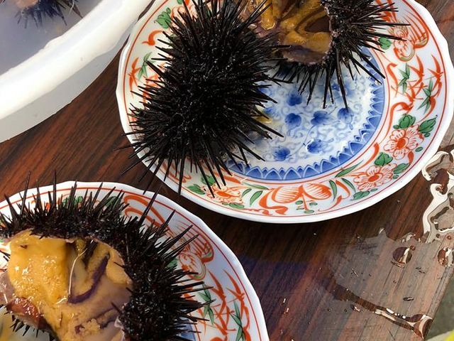 �l�ꗧ�ăE�j_�����C���Z���^�[