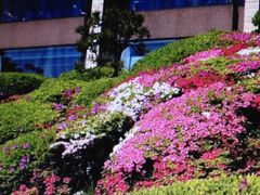 ̓{뉀izej[I[^jjւ̓eʐ^1