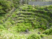 jkammy07̔d̃bgE˂̓eʐ^1