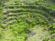 jkammy07̔d̃bgE˂̓eʐ^2