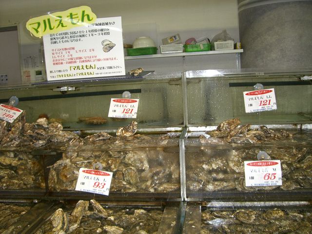 ςAÔX菭łB_݋ƋgX