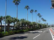 񂱂ނ̃tFjbNX̓eʐ^1