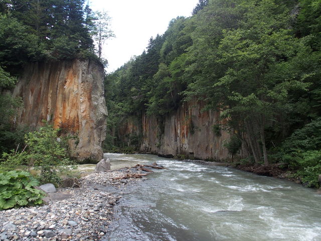 �f�R��ǂ̌����Ȍ��i_�唟