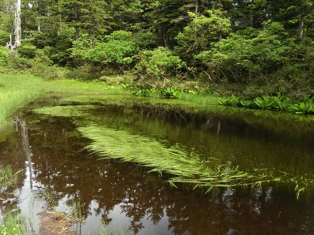 ������_��ፂ�����Q