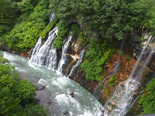 �|�p�I�Ȍ��i_���Ђ��̑�