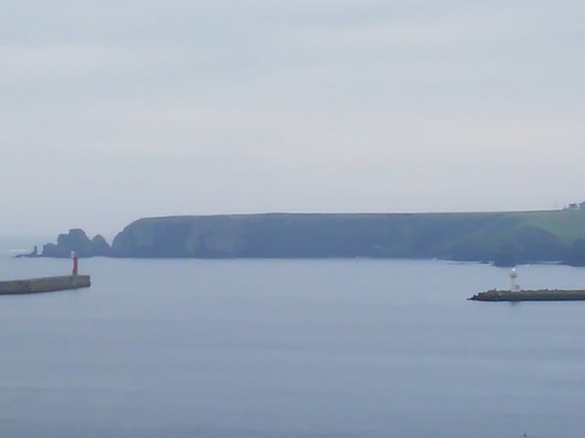 �`����_���Ζ�