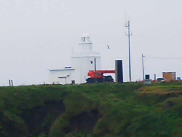 ����_�[���z��