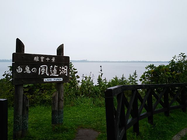 ���A��_���̉w �X�����S�S�˂ނ�