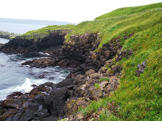 �f�R_�����Ԑ�