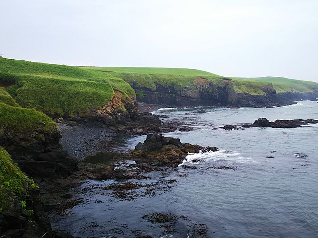 �f�R_�����Ԑ�