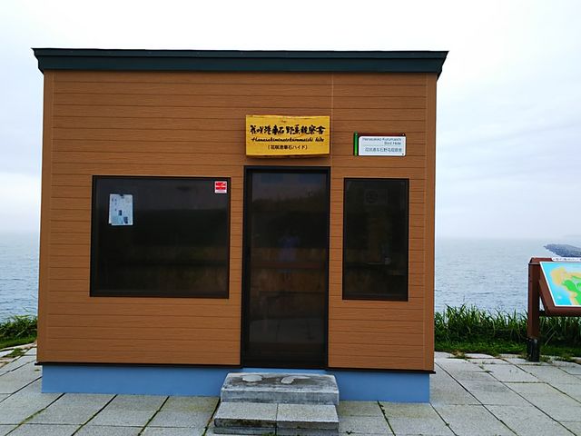 �ώ@��_�����Ԑ�