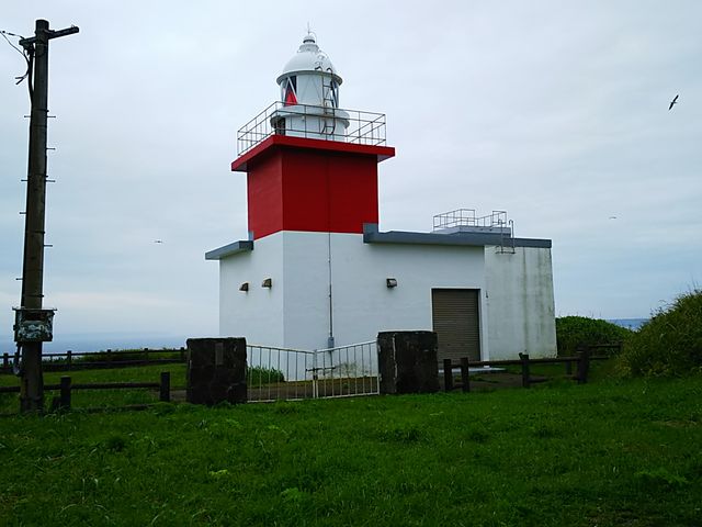 ����_�����Ԑ�