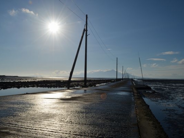 �C��_�����c�C���H