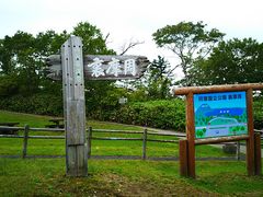 �˂�����񂳂�̗������W�]��ւ̓��e�ʐ^1