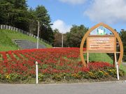 Ƃ񂳂̂܂𗬊كvg[̓eʐ^2