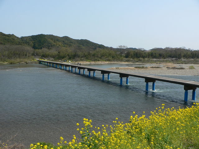 ����ς肱�̊p�x���ō�_���c�̒�����