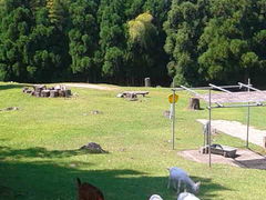 �Â���̕��Ɍ����A�n�q������ւ̓��e�ʐ^1