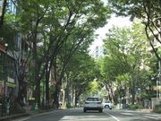 ߂߂̐ԍ₯₫ʂ̓eʐ^1