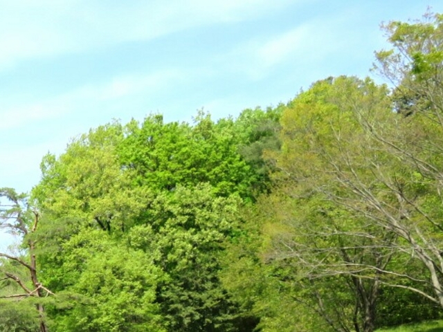 �s����������������_�s����������������