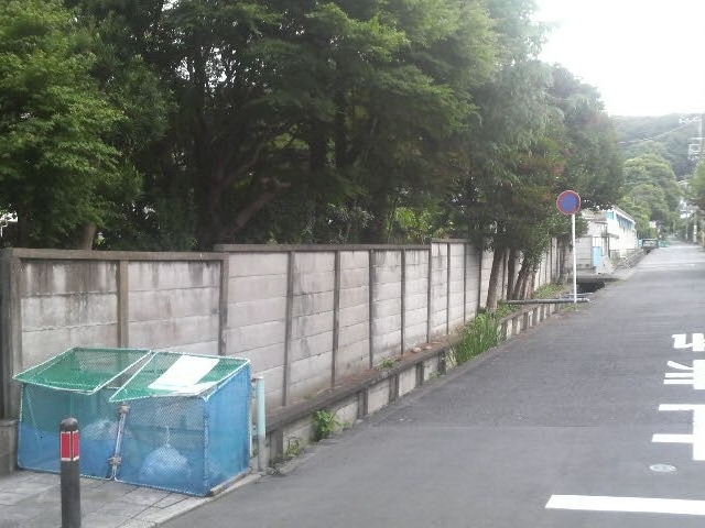 Ƃ񂳂̑呠{Ղ̓eʐ^2