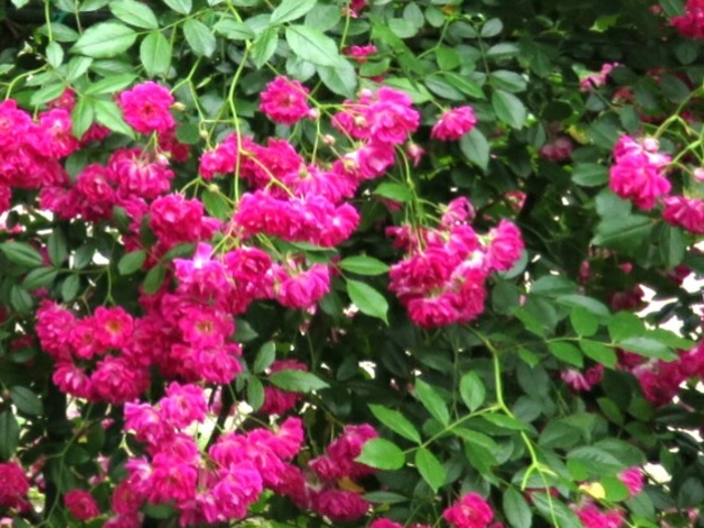 �����o����_�����o����