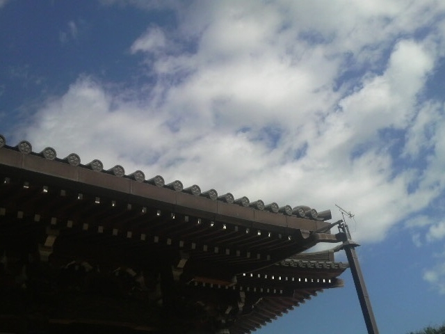 Ƃ񂳂̑c̕i@j̓eʐ^5