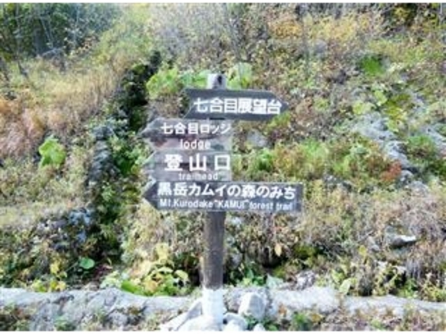 15���Łu���x�����ځv�����B_���x�y�A���t�g