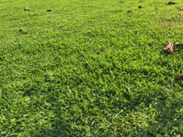 �����b�N�X_��q�ʐ����