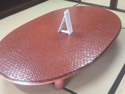 Ƃ񂳂̌؎sÖƊݓ@̓eʐ^3