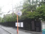 Ƃ񂳂̑呠{Ղ̓eʐ^1