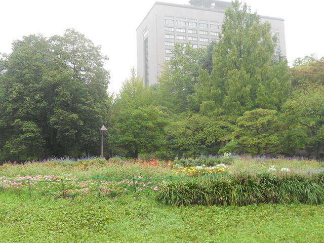 ���Ԃ��炢�Ă��܂���_���������