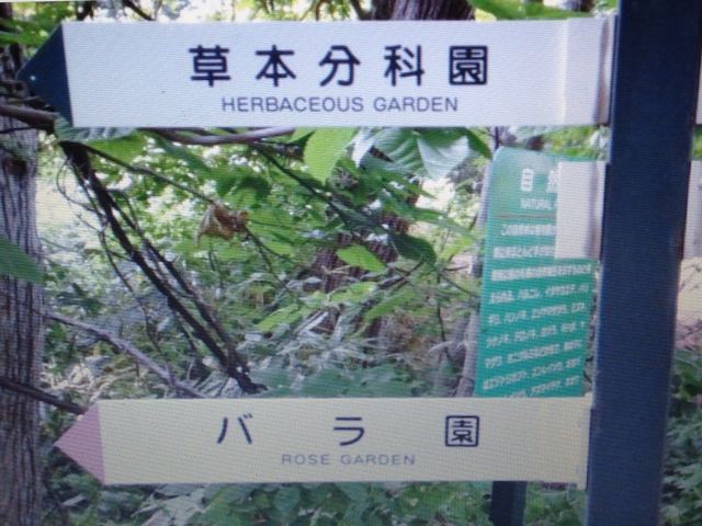 �A����_�k�C����w�A����