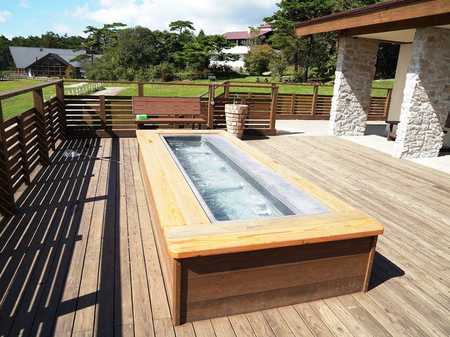 ����_����