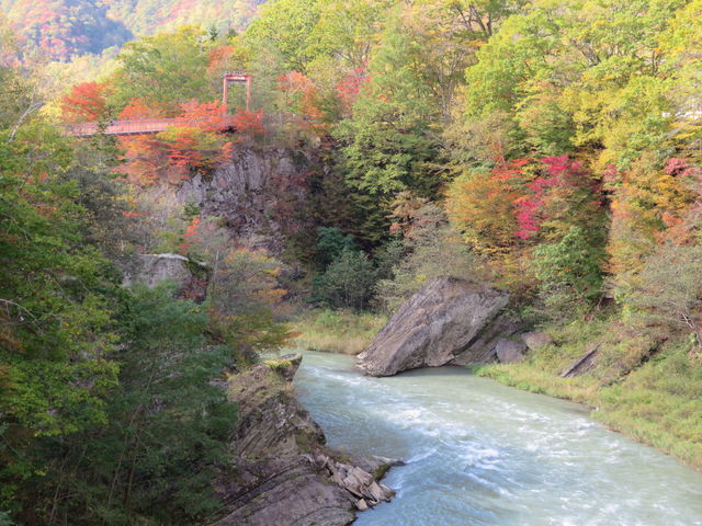 �g�t�̌k�J��_��̏�����i�|���\�E�J���C�R�^���璹�P��j