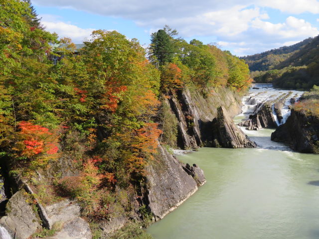 ��̎���͂���Ȋ����ōg�t_�璹����