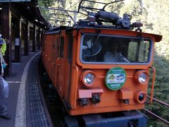 �̂���������̍������J�S���ւ̓��e�ʐ^1