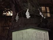 Kuda12̗nR_Ђ̑PL̓eʐ^1