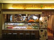 L̃LxEA[[iCampbell Earlyj̓eʐ^1