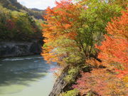 yosshy̑̏i|\EJCR^璹Pj̓eʐ^5