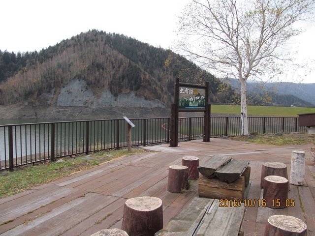 ���_��_���_��