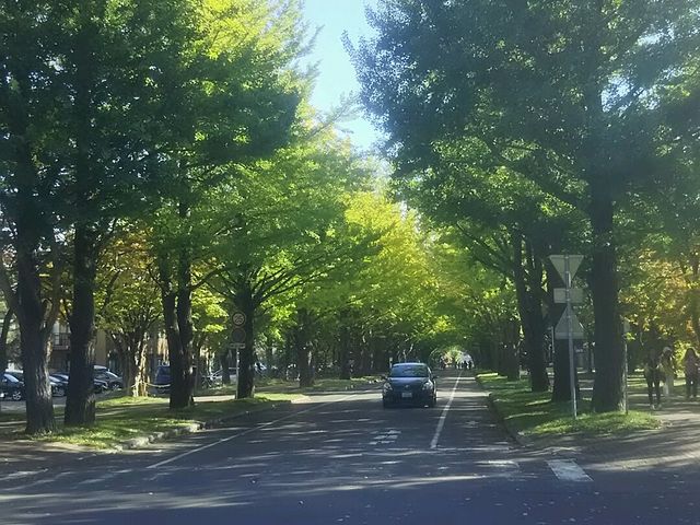 �ό��q����������ƎB��܂����B_�k��C�`���E����