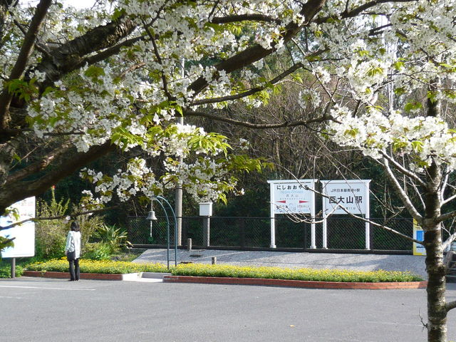 ����R�w�ł̓��}�U�N�����}���Ă���܂���(^^)/
_JR����R�w