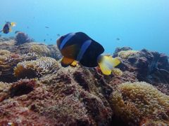 ܂邳̈ɓ_CrOXN[ gbcւ̓eʐ^1